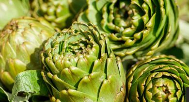 L'Artichaut : un légume délicieux et bénéfique pour la santé