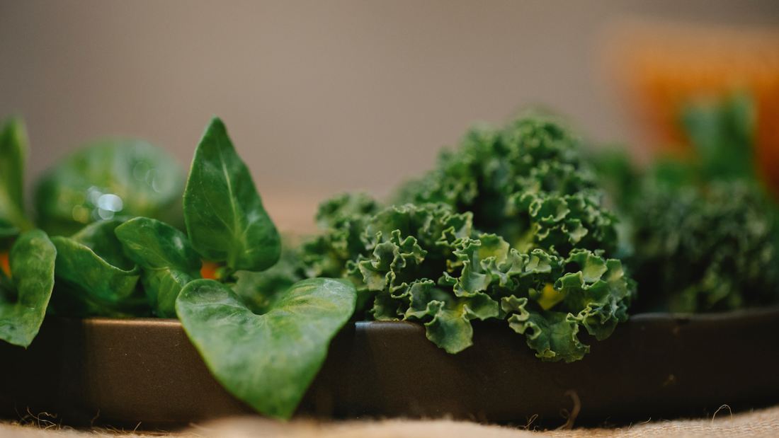 table_de_cana_épinards